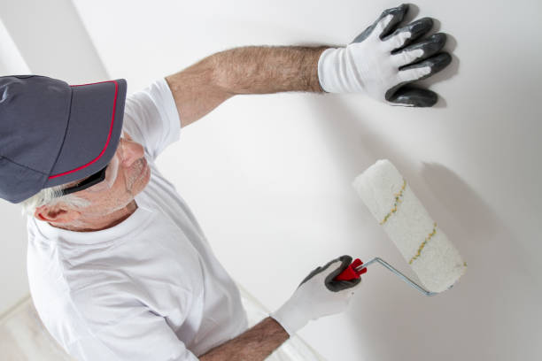 Professional Mold Removal in Markham, IL