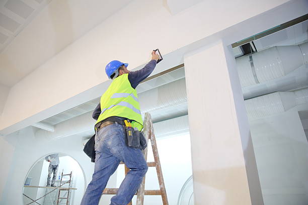 Best Attic Mold Removal  in Markham, IL