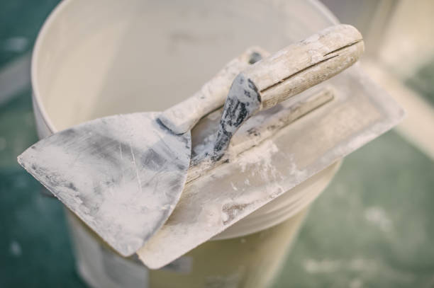 Mold Odor Removal Services in Markham, IL